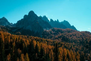 5 istotnych informacji dla biznesu: kluczowe aspekty do zapewnienia sukcesu.